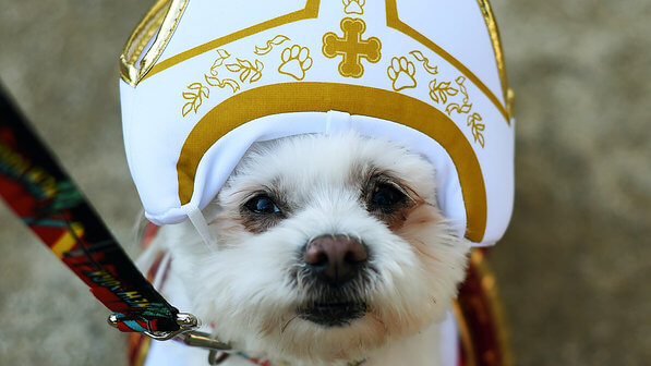 Associações de defesa dos animais celebraram uma declaração recente de Francisco que seria um atestado de que os animais vão para o paraíso. Assunto, como era de se esperar, é controverso